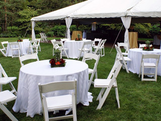 Ceremonial Scissors - Party Safari Ohio - Cleveland Tent & Party Rental